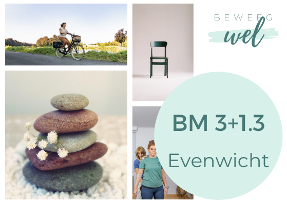 BeweegWel – BM # 3+1.3